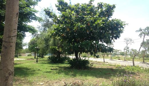 Bán Nhanh Lô Đất Đường Dũng Sĩ Điện Ngọc Cách Bãi Tắm 7p