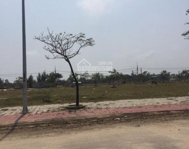 Bán Nhanh Đất Nền Fpt City, Ven Sông Cổ Cò