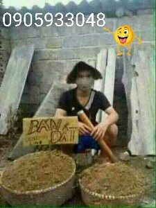 Bán Đất Đường Nguyển Xiển ,quận Ngủ Hành Sơn ,tp Đà Nẵng