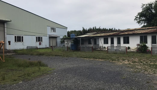 Bán Nhà Xưởng 10500m2 Mặt Tiền Đường Nguyễn Bình, Nhà Bè Xe Container Vào Được Giá 55 Tỷ.