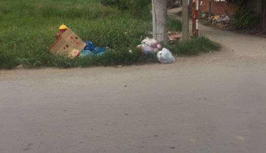 Bán 2900m2 Đất Mặt Tiền Đường T5, Xã Tân Qúy Tây, Huyện Bình Chánh. Gía 4 Tỷ