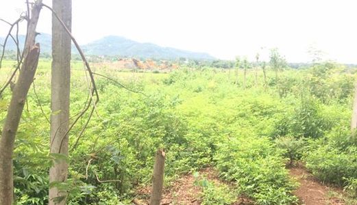 Cần Bán 9,7 Đất Sào Đất Nông Nghiệp, Thôn 8 Xã Cư Ê Bur. Cách Mỏ Đá Khoảng 700m,