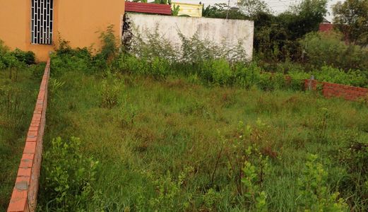 370 Triệu/Đất Phú Đông 5X13.2,Shr, Đường 5M Xe Hơi Vào Tới,