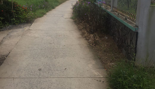 Cần Tiền Sang Gấp 101 M2 Mặt Tiền Đường Ô Tô Xã Qui Đức, Bình Chánh.