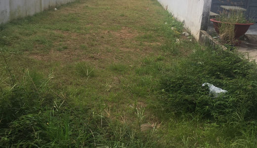 Cần Tiền Sang Gấp 101 M2 Mặt Tiền Đường Ô Tô Xã Qui Đức, Bình Chánh.