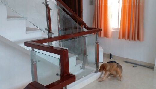 Nhà Mới Hoàn Toàn Đường Dương Cát Lợi, Dt 327m2, Shr, Giá 5.3 Tỷ