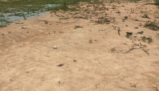 Bán Đất Mặt Tiền Sau Siêu Thị Big C Dĩ An Bình Dương. Thổ Cư 100% , Hỗ Trợ Vay Vốn. Lh : 0982205819