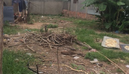 Đất Phú Đông- Nhơn Trạch 6X19 Thổ Cư 100%,Shr,Đường Nhựa 5M,Huỳnh Văn Lũy( Rất Gấp