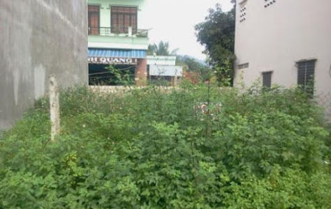 Bán Đất Thanh Nhàn 88m2 Mặt Tiền 4.3m Giá 5 Tỷ.