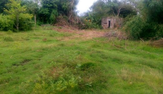 Đất Diện Tích Lớn 60-200.000m2. Huyện Đức Hoà - Long An