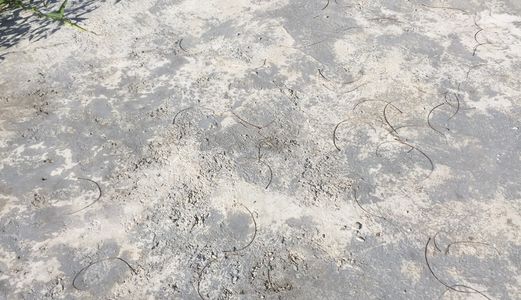 Bán 38 M2 Đất Sổ Đỏ, Hướng Đông Nam, Giá 860 Triệu Tại Tổ 10 Yên Nghĩa Hà Đông