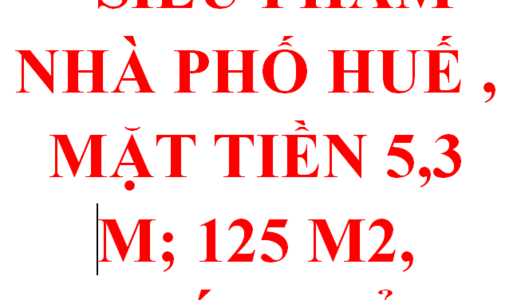 Siêu Phẩm : Bán Nhà 125 m2 Phố Huế - Hai Bà Trưng, Hà Nội