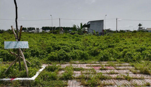 Cho Thuê Đất Trống Mặt Tiền Đường Lớn Ngang Trên 40m