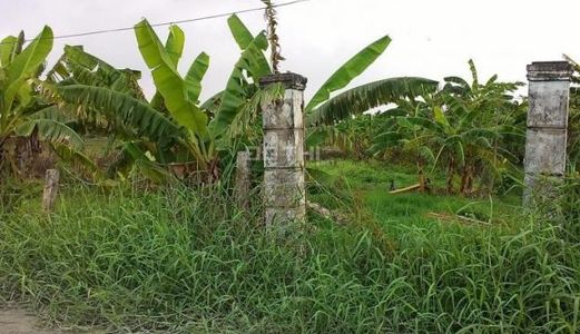 Cho Thuê Đất Trống , Diện Tích Trên 400m2 , Hẻm Lớn , Trung Tâm Thành Phố , Giá Dưới 10 Triệu