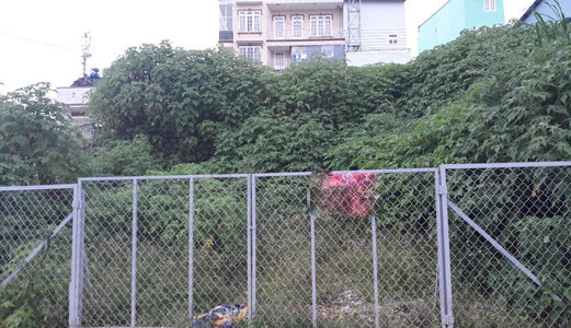 Bán Đất Mặt Tiền Đường Trần Đại Nghĩa, Phường 8, Đà Lạt_Giá 3.350 Tỷ