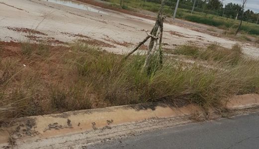 Đất Thổ Cư TL 823,Đức Hòa,LA,75m2,Sổ Hồng Riêng,Bao Sang Tên Công Chứng