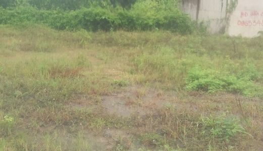 Cần Bán Đất Xã Phước Bình, Long Thành, Đồng Nai