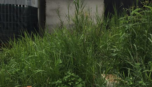 Bán Gấp Lô Đất Lã Xuân Oai, Hẻm Xe Hơi, Gần Chợ, Diện Tích 52m2, Khu Dân Cư, Giá Rẻ Nhất Thị Trường