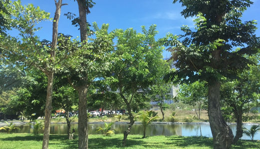 Chính Chủ Bán Lô Đất Gần Bãi Tắm Tân Trà, Đường 27m, Lh:0962527404