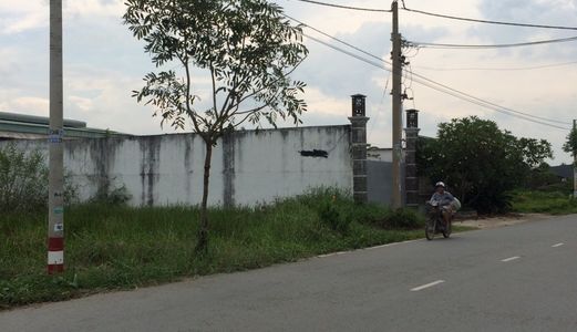 Đất Mặt Tiền 3000m2 Cần Bán Gấp, Đường Hương Lộ 11, Xã Quy Đức, Huyện Bình Chánh.