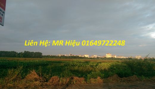 Nhanh Tay Sở Hữu Lô Đất Cực Đẹp Ở Tđc Trâu Quỳ, Dt 65m2, Giá 35Trđ/m2 Lh 01649722248