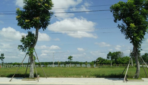 Đất Mặt Tiền, Gần Chợ, Shr, Xây Tự Do, Hóc Môn