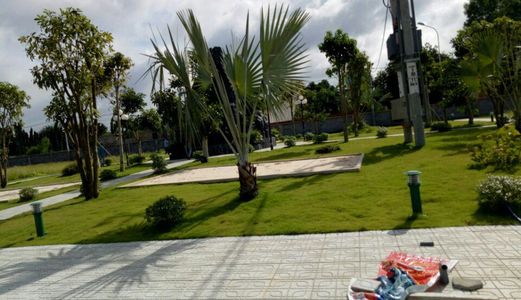 Đất Mặt Tiền Ql51 , Xã Phước Thái , Long Thành , Đồng Nai : Lh 0933649774