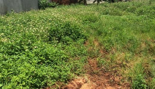 Bán Đất Thổ Cư Hẻm Nguyễn Cơ Thạch Giá 510tr