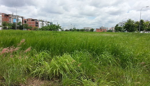 Bán Đất Chợ Mới Tương Bình Hiệp Thủ Dầu Một 