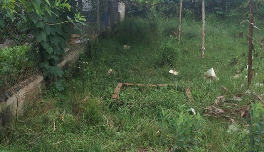 Đất Thổ Cư 4x15 Xã Đại Phước-Mt  Đường Bê Tông 3m- Đường Lý Thái Tổ