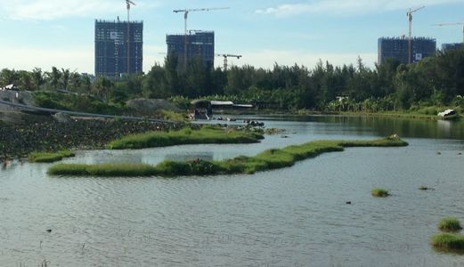 Bán Lô Đất Cực Hiếm Trục Đường 33m Thông Suốt Ngay Sau Cocobay