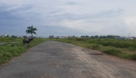 Bán Đất Nền Và Bán Nhà Khu Vực Ngã Ba Giòng Hóc Môn
