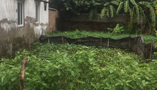 Cần Tiền Xin Việc Cho Con Trai, Bán 57 M2 Đất Tại Cống Tuân Tổ 1 Yên Nghĩa Hà Đông