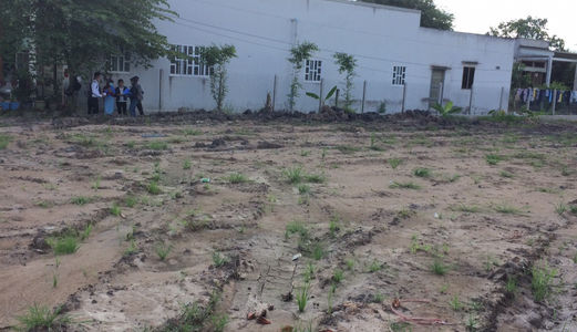 Bạn Có Thật Sự Muốn Giàu Không Hãy Đầu Tư Đất Nền Ngay Kcn Phú An Thạnh Giá Chỉ 490tr/Nền100m2