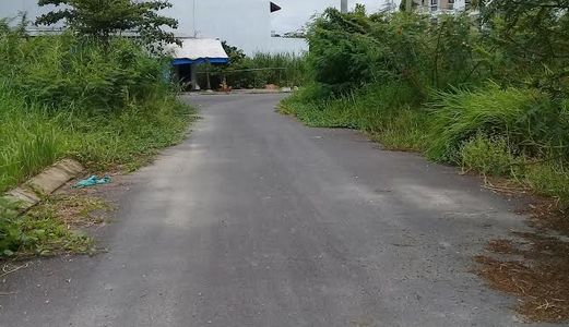 Cần Bán Đất Nền 94m2 Sổ Đỏ Cá Nhân, Xây Dựng Tự Do, Mặt Tiền Đường 12 P7.Q8