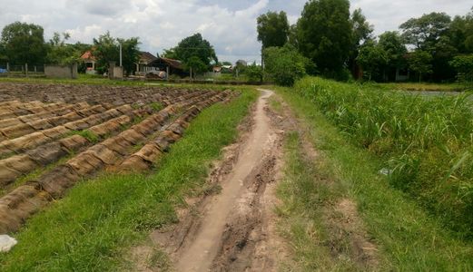 Chính Chủ Cần Bán Đất Thổ, Sổ Riêng. DT: 30x40m. Giá 1 Tỷ 850