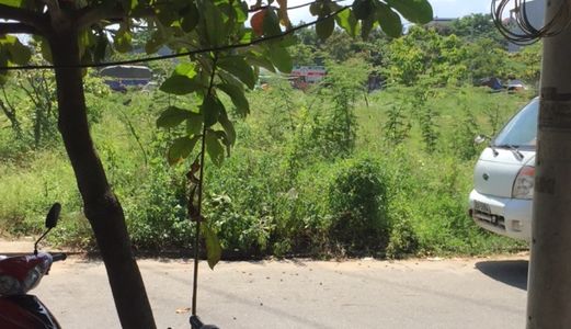 Bán Đất Kiều Phụng, Đầu Đường, Hòa Xuân, Cẩm Lệ, Đà Nẵng