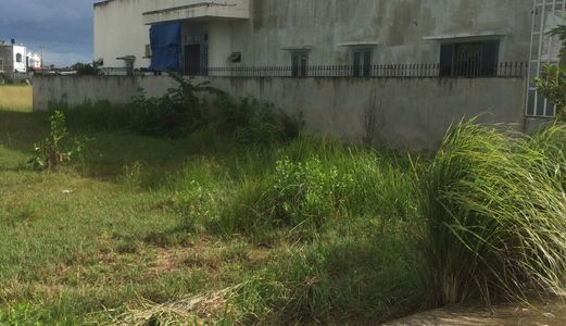 Đất Thổ Cư 5X16 Xã Đại Phước-Mt  Đường Bê Tông 6M- Đường Lý Thái Tổ