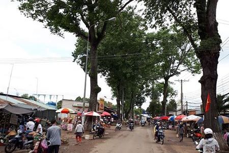 Đất Phú Mỹ Thích Hợp Kinh Doanh Buôn Bán Xây Trọ