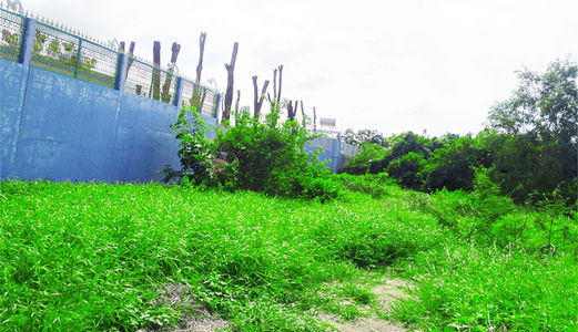 Tôi Đang Cần Tiền Nên Bán 700m2 Đất, Gần Trung Tâm Giải Trí Thành Long Bình Chánh