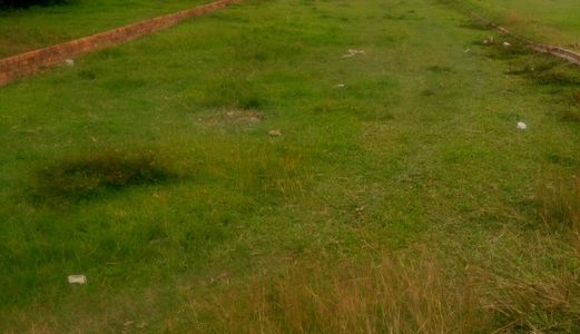 Chính Chủ Cần Bán Đất Thổ, Sổ Riêng. DT: 5x40m. Giá 330tr