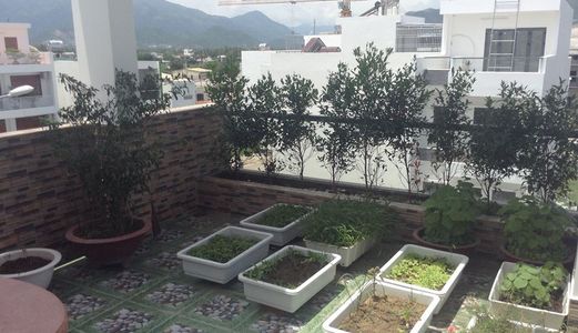 Bán Nhà Đường A2 Khu Đô Thị VCN Phước Hải, Nha Trang, Khánh Hòa - 0934322293