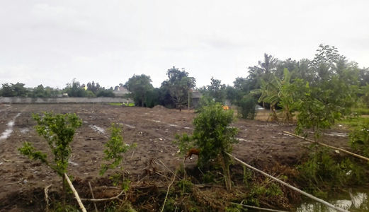 Đất Thổ Cư Bình Chánh, Dt 1.915 M2 Có 900 TC, Giá 7 Tỷ