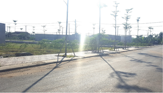 5 Lô Ưu Đãi Tri Ân Khách Hàng Đợt 2/9 Đường 51 Q2. Chỉ 8tr/M2