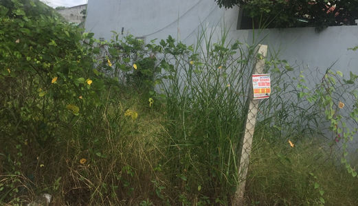 Cần Tiền Sang Gấp 128 M2 Đất Thổ Cư Mặt Tiền Đường Ô Tô, Hưng Long, Bình Chánh