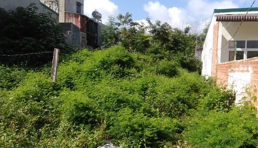 Bán Lô Đất Thổ Cư Mặt Tiền Phan Đăng Lưu, Giá 2,25 Tỷ