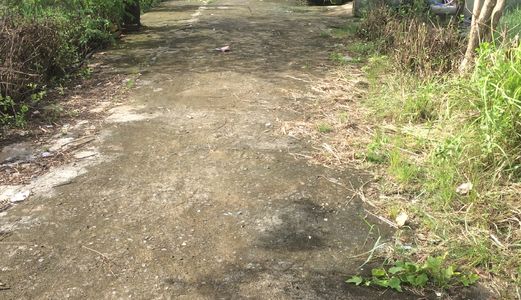 Đất Thổ Cư Xã Phú Đông 6x21-SHR-MT Đường Nhựa 5M-Trần Văn Trà Vào 40M.