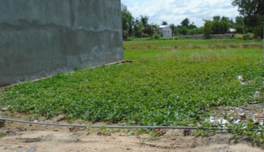 Bán Đất Nhà Bè, 288m2, 1,64 Tỷ,Liền Kề Phú Mỹ Hưng