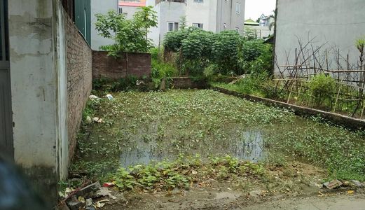 Bán Đất Mặt Đường Gia Quất, Tổ 4 Thượng Thanh, Long Biên 117m,Giá Rẻ. Lh Ninh 0931705288