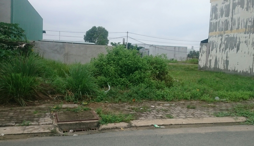 Sacombank Phát Mãi  4 Lô Đất Đường Huỳnh Văn Trí, Sổ Riêng 